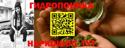 мдпв Тула